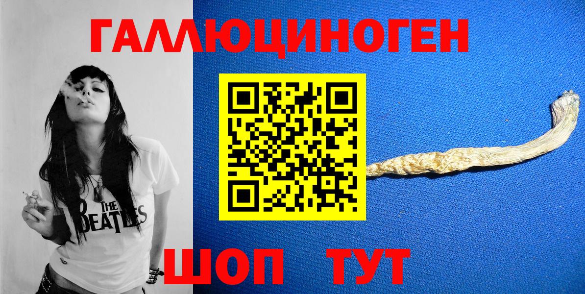 Галлюциногенные грибы Psilocybe  Вход с VPN  Нальчик 